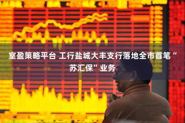 室盈策略平台 工行盐城大丰支行落地全市首笔“苏汇保”业务